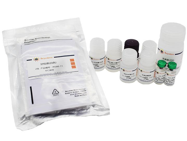 Human IL-2 ELISA Kit